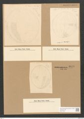 Cocconeis ambigua var. montereyi Grun. (de-Toni-Nr.: Genus 40, Species 1852) Zeichnungen Sammlung Grunow Nr. 3675 (NHMW-BOT-W0371293)